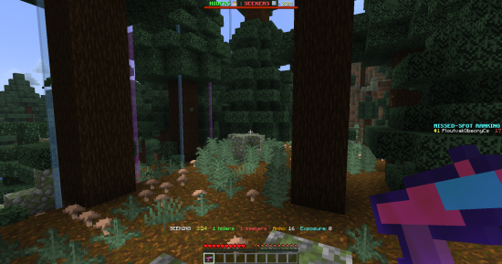 A seeker scanning a forest with the Chroma Blaster